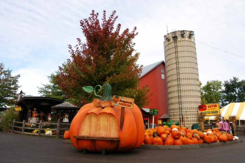 Bengtson's Pumpkin Farm and Fall Fest, United States